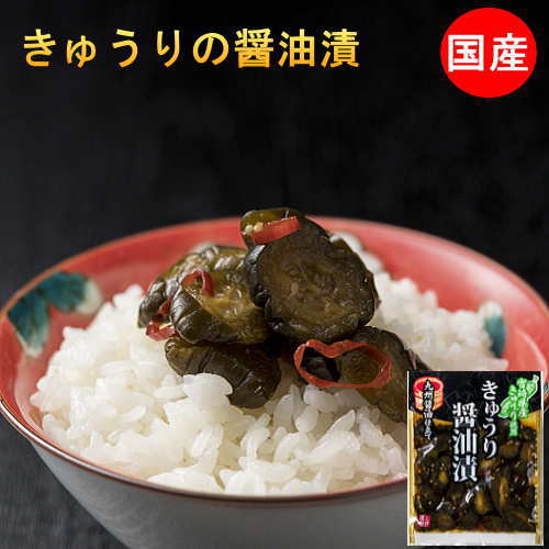 国産 きゅうりの醤油漬け 100g×4袋 送料無料 無添加 漬物 ピリ辛きゅうり 漬け物 常備菜 宮崎県産 キュウリ ご飯のお供 ポイント消化 食品 メール便　メール 便 ギフト プチギフト 贈り物 お中元