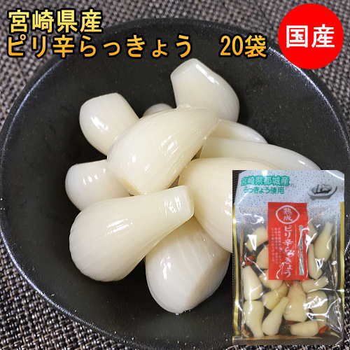 宮崎県産熟成ピリ辛らっきょう20袋 　　 原材料 らっきょう、漬け原材料［糖類（果糖ブドウ糖液糖、砂糖）、醸造酢、食塩、唐辛子］ 合成着色料・保存料は使用しておりません 内容量　80g×20袋 賞味期限　60日 類似商品はこちら＼セール1296円⇒1080円／ピリ辛らっきょ1,080円熟成甘らっきょう 国産 無添加 80gx20袋8,640円＼セール1296円⇒1080円／熟成らっきょう1,080円＼セール1296円⇒1080円／熟成らっきょう1,080円＼セール1296円⇒1080円／塩らっきょう 1,080円＼セール1296円⇒1080円／熟成甘らっきょ1,080円塩らっきょう 国産 無添加 80gx20袋 　8,640円塩らっきょう 国産 無添加 80gx10袋 　4,320円＼ポイント3倍／らっきょう 国産 無添加 901,296円新着商品はこちら2024/5/23にんにく卵黄　国産 すっぽん卵黄にんにく すっ1,240円2024/5/22＼おひとり様1セット限り／5940円⇒29702,959円2024/2/24国産豚軟骨煮込み　140g　ぷるるんトロうまな1,000円再販商品はこちら2024/4/19＼セール1080円⇒1000円／国産　鶏炭火焼1,000円2024/4/19＼ポイント3倍／国産　梅ひじき 220g ひじ1,480円2024/4/19＼セール1296円⇒1080円／熟成きざみつぼ1,080円2024/05/24 更新