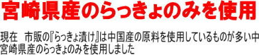 【送料無料】らっきょう 国産 無添加 ラッキョウ甘酢漬 カリカリらっきょう漬け4袋セット モンドセレクション最高金賞受賞　ご飯のお供 敬老の日】【樽味屋】らっきょ　漬け物 ランキング入賞　還暦 B級グルメ