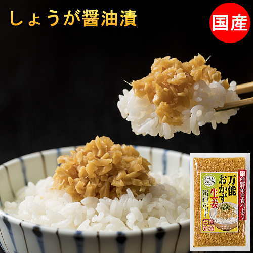 万能おかず生姜 しょうが醤油漬け 国産 130g×10袋 きざみしょうが 送料無料 刻みしょうが ぶっかけおかずしょうが ショウガ 漬物 万能調味料 ふりかけ ポイント消化 ご飯のお供 食品