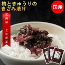 【セール 1480円⇒1380円】国産カリカリ梅ときゅうりのきざみ漬け 130g×3袋セット 紀州南高梅 宮崎産きゅうり 梅っこきゅうり 漬物 ポイント消化 ご...