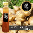 (同梱不可)ジンジャーシロップ300ml×2本セット 手作り 贈り物 生姜