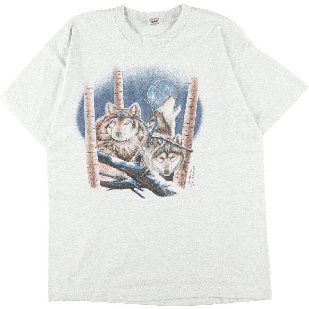 古着 90年代 フルーツオブザルーム FRUIT OF THE LOOM オオカミ柄 アニマルプリントTシャツ USA製 メンズM ヴィンテージ /eaa332635 【中古】 【230430】のサムネイル