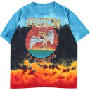 楽天古着屋JAM古着 LED ZEPPELIN レッドツェッペリン タイダイ柄 バンドTシャツ バンT メンズM /eaa346311 【中古】 【230804】