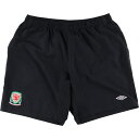 古着 アンブロ UMBRO ウェールズ代表 スイムショーツ ショートパンツ メンズXXL相当 /eaa369080 【中古】 【250412】