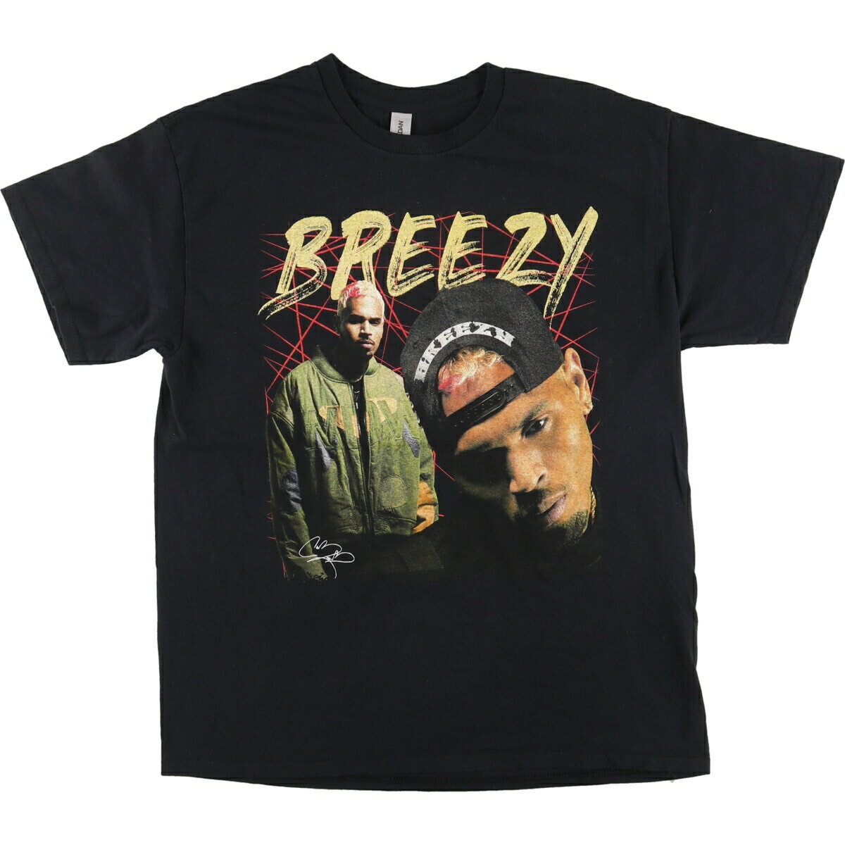 古着 ギルダン GILDAN Chris Brown クリスブラウン Breezy ラップTシャツ ラップT メンズL /eaa411552 【中古】 【240426】