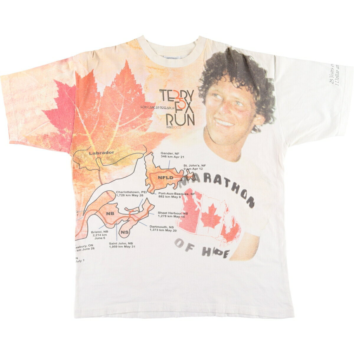 古着 TERRY FOX テリーフォックス 巻きプリントTシャツ カナダ製 メンズXL ヴィンテージ /eaa425957 【中古】 【240316】