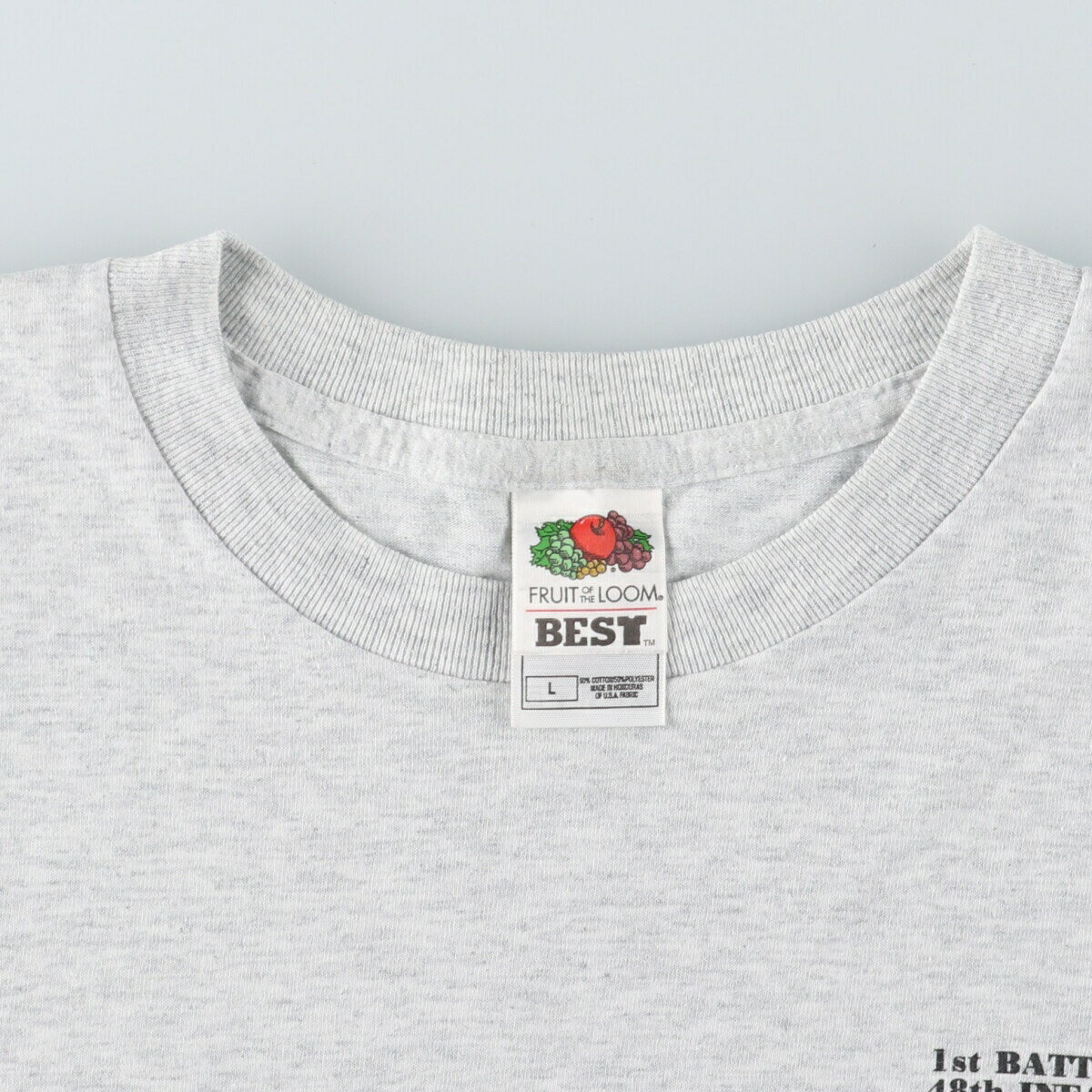 古着 フルーツオブザルーム FRUIT OF THE LOOM バックプリント プリントTシャツ メンズL /eaa446345 【中古】 【240621】 【SS2509_30】