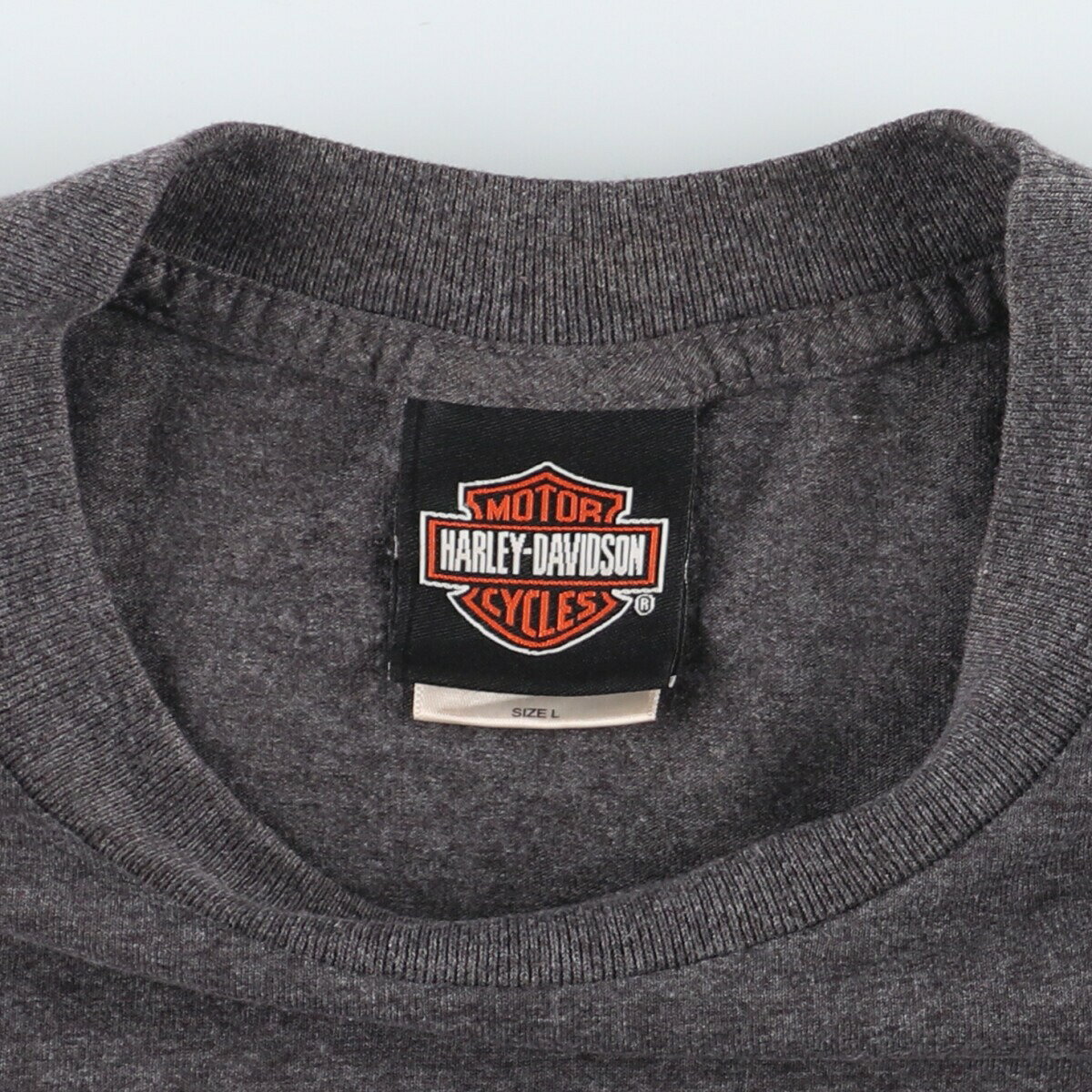 古着 00'S ハーレーダビッドソン Harley-Davidson バックプリント モーターサイクル バイクTシャツ USA製 メンズL /eaa454151 【中古】 【240604】