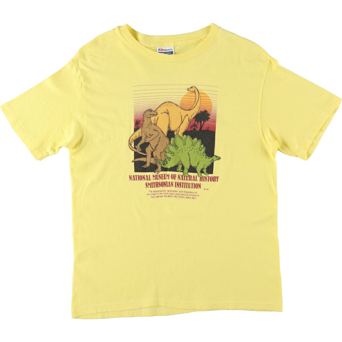 古着 80'S ヘインズ Hanes 恐竜柄 アニマルTシャツ USA製 メンズL相当 ヴィンテージ /eaa486215 【中古】 【240904】 【ADEL/アデル】