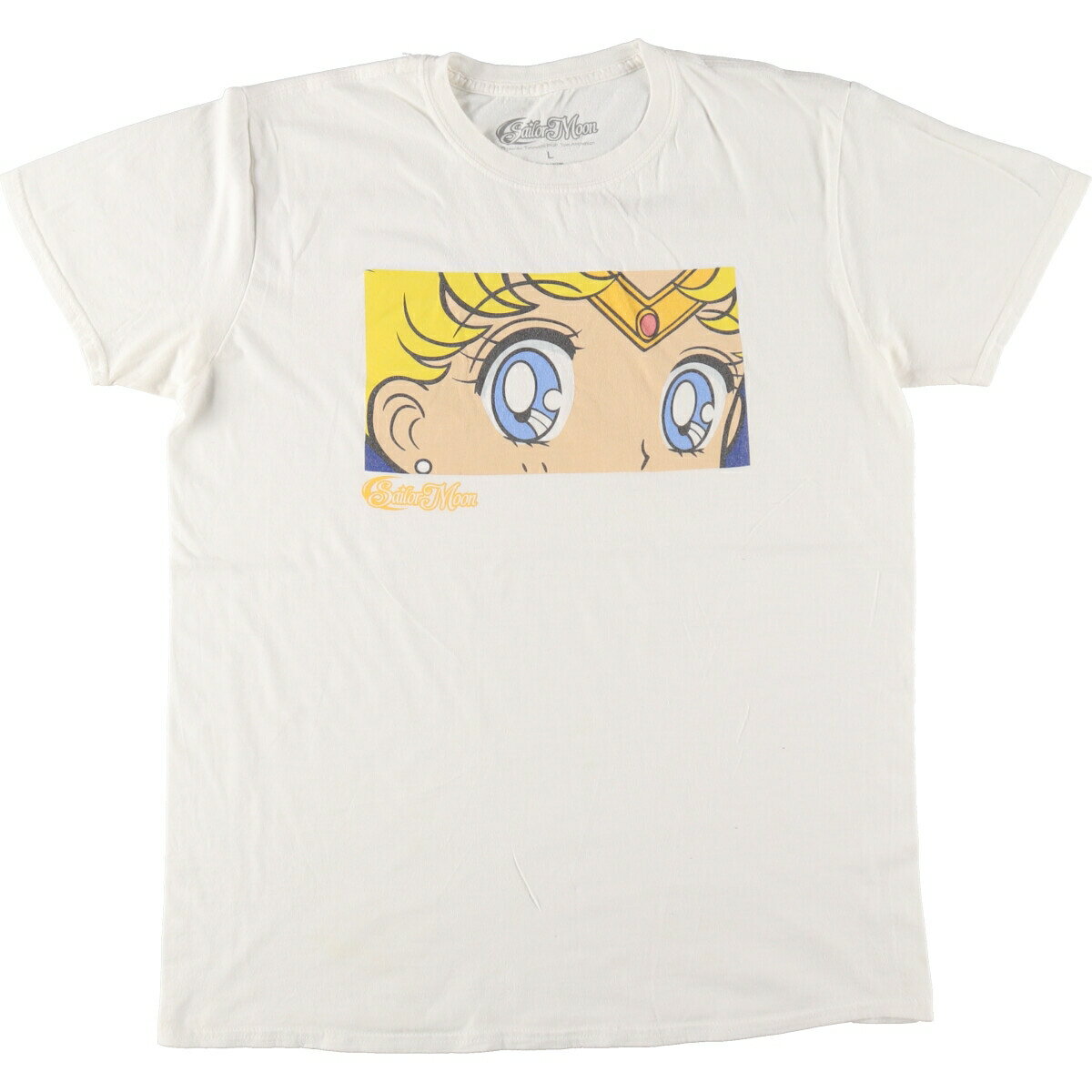 古着 SAILOR MOON 美少女戦士セーラームーン アニメ キャラクタープリントTシャツ メンズL相当 /eaa490285 【中古】 【240928】
