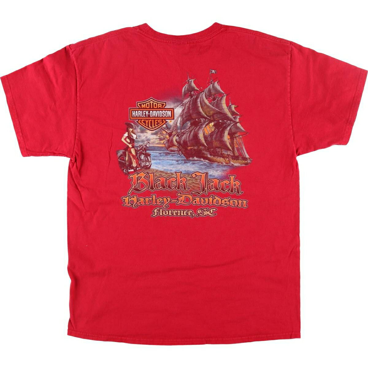 古着 ハーレーダビッドソン Harley-Davidson Hanes モーターサイクル バイクTシャツ メンズL相当 /eaa520853 【中古】 【250224】 【SS2506_30】