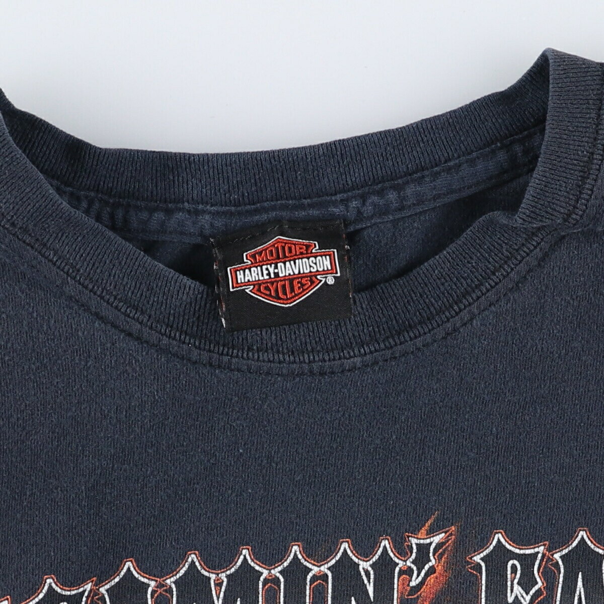 古着 ハーレーダビッドソン Harley-Davidson ドクロ柄 スカル柄 ファイヤーパターン モーターサイクル バイクTシャツ メンズL相当 /eaa527920 【中古】 【250315】