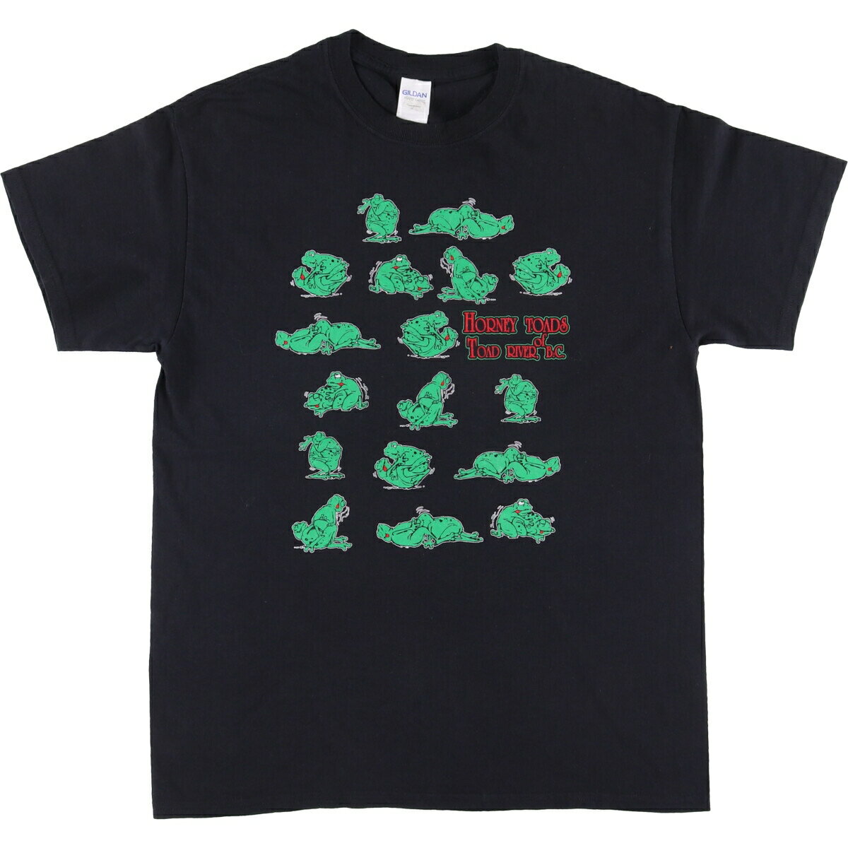 乐天商城 - 古着 ギルダン GILDAN プリントTシャツ メンズM相当 /eaa529251 【中古】 【250608】 【SS2606_30