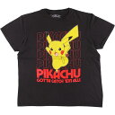 古着 POKEMON ポケモン ピカチュウ キャラクタープリントTシャツ メンズL相当 /eaa529601 【中古】 【250530】