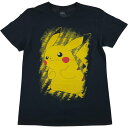 古着 POKEMON ポケモン ピカチュウ アニメ キャラクタープリントTシャツ メンズM相当 /eaa539616 【中古】 【250419】