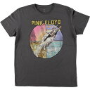 古着 PINK FLOYD ピンクフロイド バンドTシャツ バンT メンズL相当 /eaa542061 【中古】 【250430】