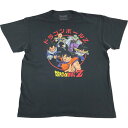 古着 DORAGONBALL Z ドラゴンボールZ アニメ キャラクタープリントTシャツ メンズL相当 /eaa543430 【中古】 【250502】