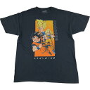 古着 DORAGONBALL Z ドラゴンボールZ 孫悟空 アニメ キャラクタープリントTシャツ メンズL相当 /eaa543431 【中古】 【250502】