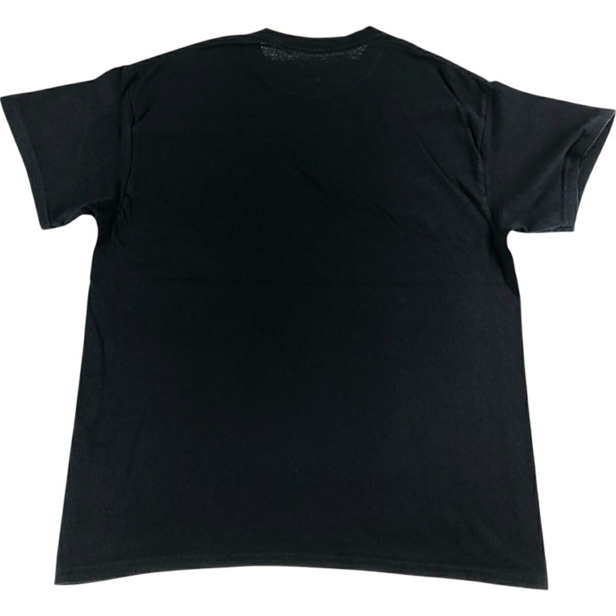 古着 ICE CUBE アイスキューブ バンドTシャツ バンT メンズL相当 /eaa546352 【中...