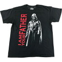 古着 STAR WARS スターウォーズ ダースベイダー 映画 ムービーTシャツ メンズL相当 /eaa546455 【中古】 【250504】