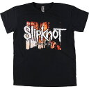 古着 ギルダン GILDAN Slipknot スリップノット バンドTシャツ バンT メンズS相当 /eaa546981 【中古】 【250511】