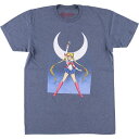 古着 SAILOR MOON 美少女戦士セーラームーン アニメ キャラクタープリントTシャツ メンズM相当 /eaa551291 【中古】 【250524】