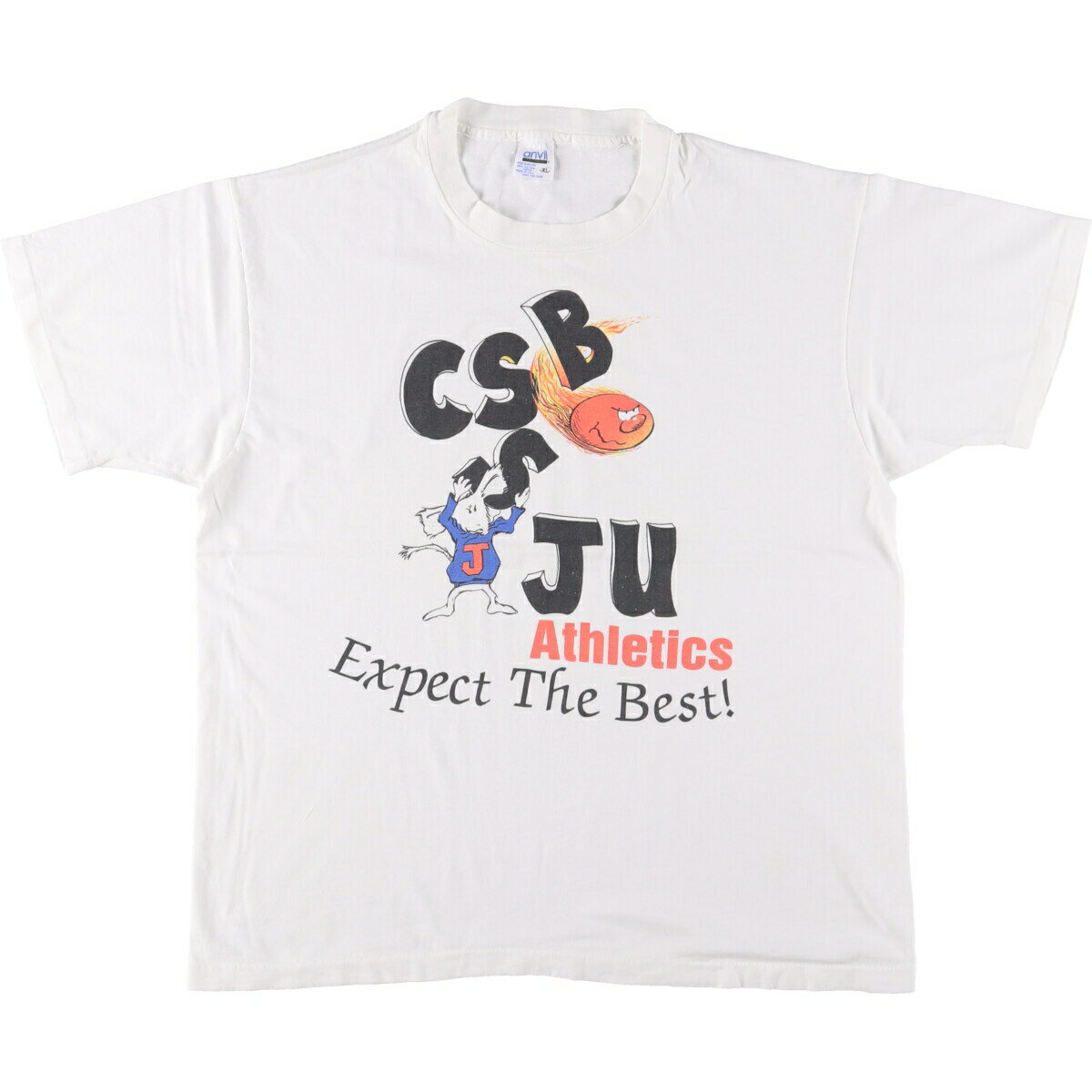 古着 90'S アンビル Anvil プリントTシャツ USA製 メンズXL相当 ヴィンテージ /eaa559364 【中古】 【250623】 【SS2603_30】