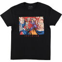 古着 DORAGONBALL Z ドラゴンボールZ アニメ キャラクタープリントTシャツ メンズM相当 /eaa559414 【中古】 【250629】