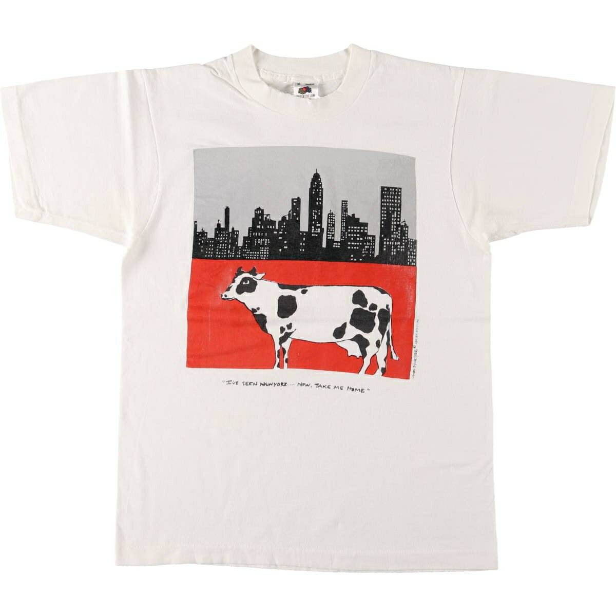 古着 90'S フルーツオブザルーム FRUIT OF THE LOOM TAKE ME HOME アートTシャツ USA製 メンズM相当 ヴィンテージ /eaa562811 【中古】 【250630】 【SS2603_30】