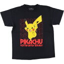 古着 PoKeMoN ポケモン ピカチュウ アニメ キャラクタープリントTシャツ メンズL相当 /eaa566593 【中古】 【250706】