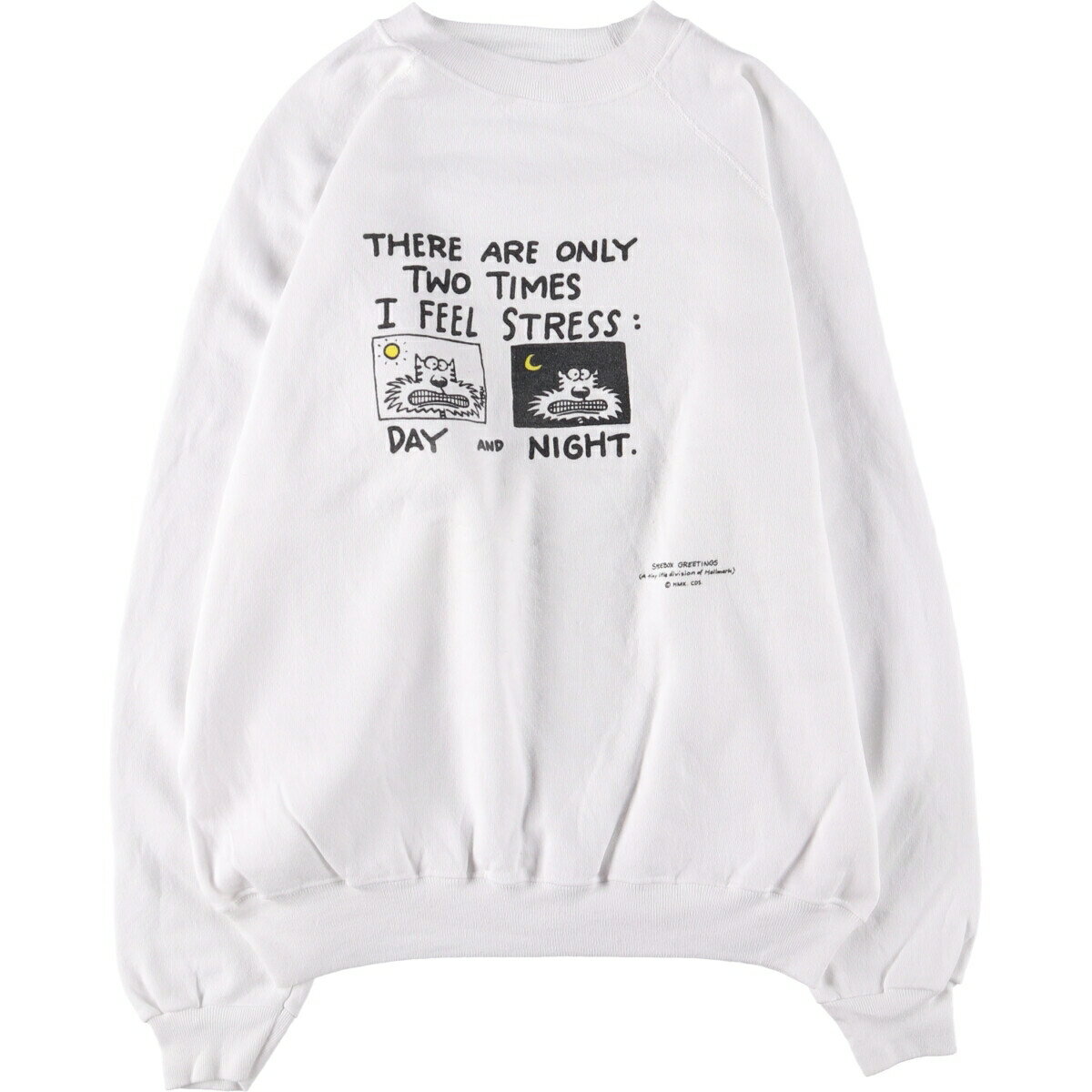 古着 80'S ヘインズ Hanes 青タグ プリントスウェットシャツ トレーナー メンズXL相当 ヴィンテージ /eaa566811 【中古】 【250813】 【ss2601_30】