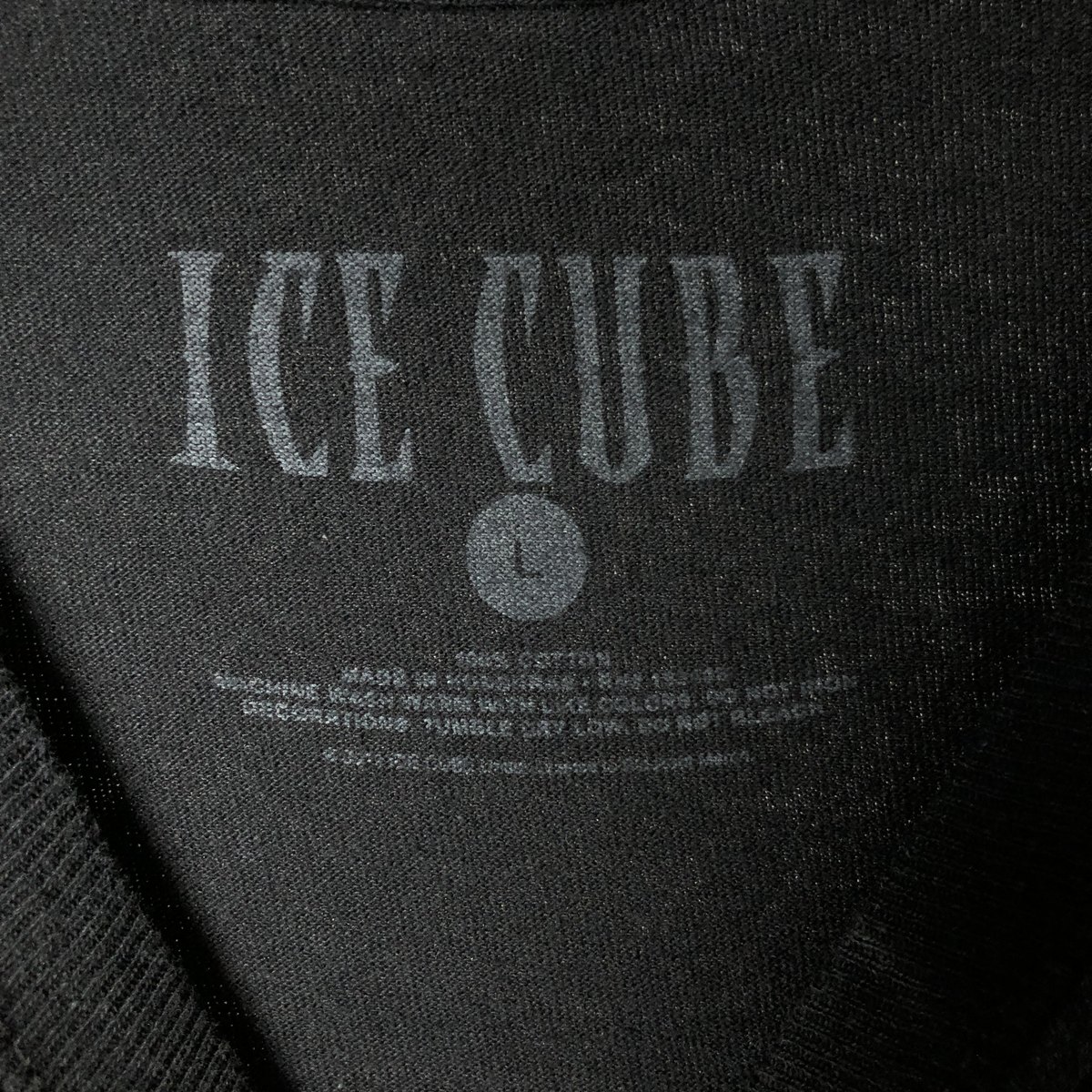 古着 ICE CUBE アイスキューブ ラップTシャツ ラップT メンズL相当 /eaa579024 【...