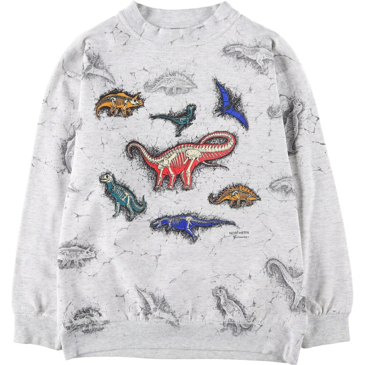 古着 90'S northern Getaway 大判プリント 恐竜柄 アニマル スウェットシャツ トレーナー メンズM相当 ヴィンテージ /eaa605817 【中古】 【260102】 【GR-UN-2602】