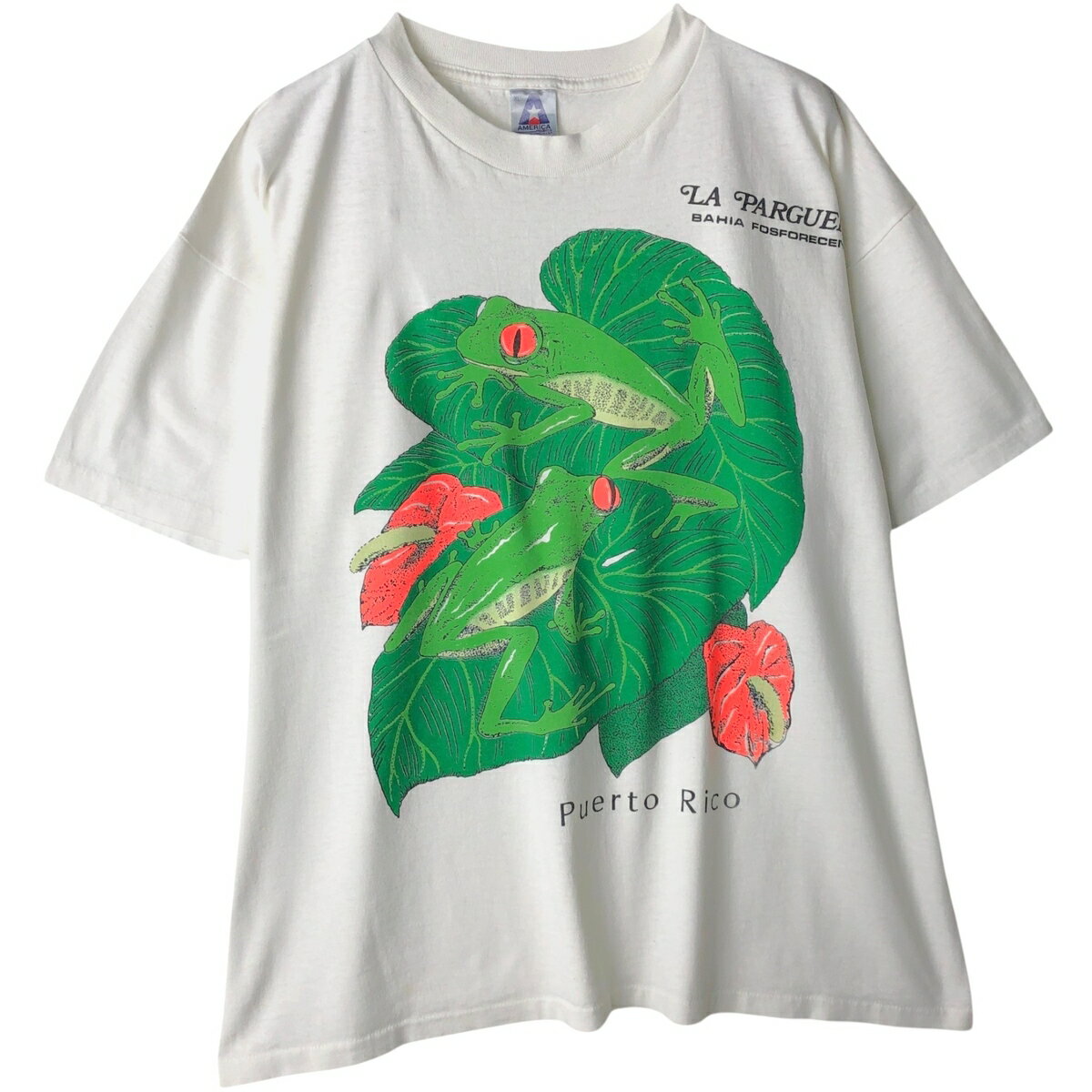 古着 80'S AMERIA カエル柄 アニマルTシャツ USA製 メンズXL相当 /eaa641715  