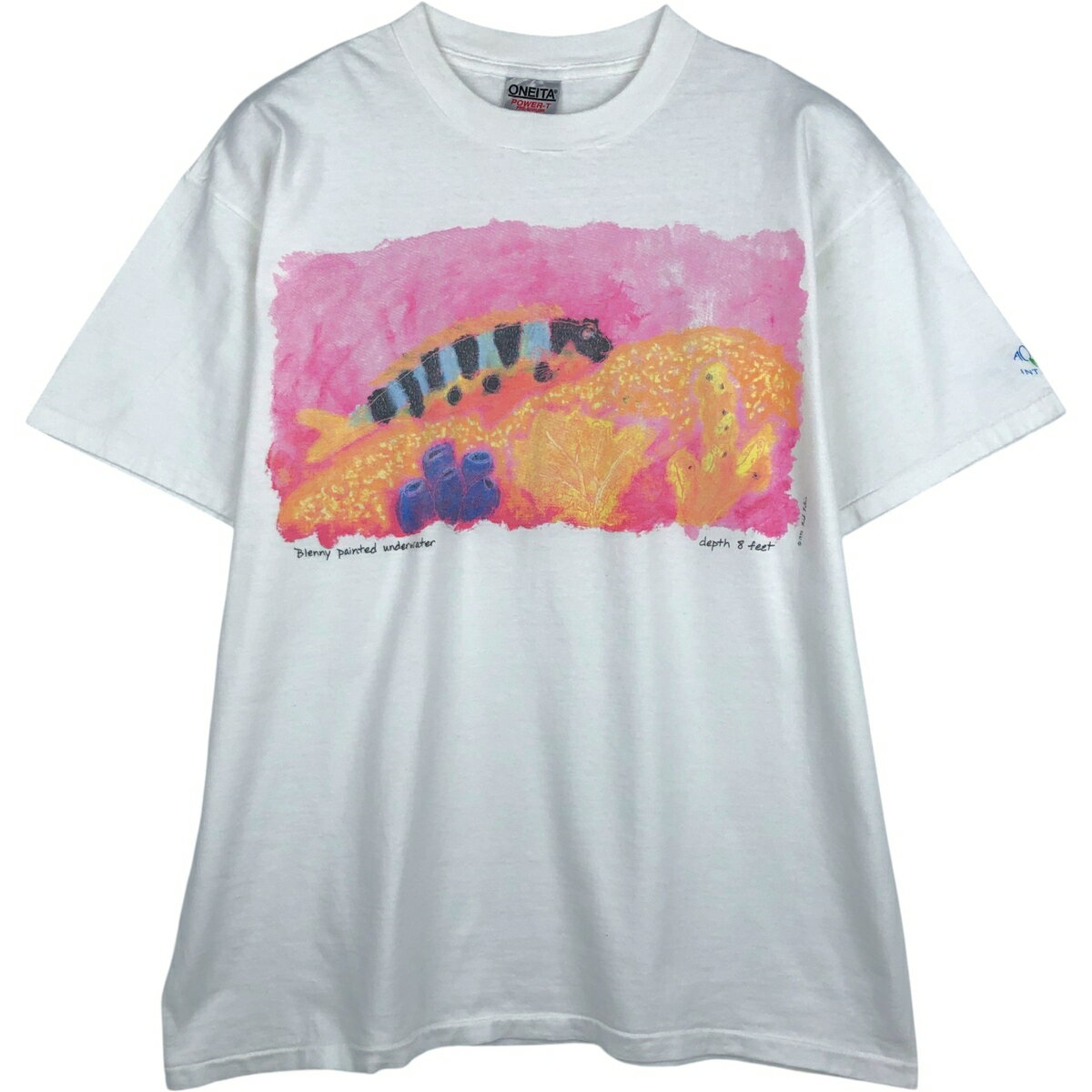 古着 90'S オニータ ONEITA Elegant blenny アートTシャツ メンズXL相当 ヴィンテージ /eaa643217  