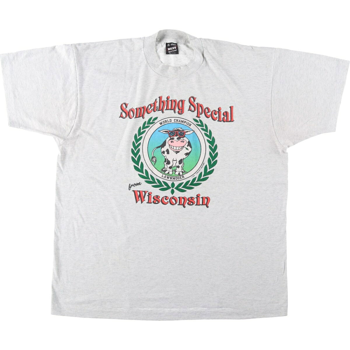 古着 90'S フルーツオブザルーム FRUIT OF THE LOOM Something Special from Wisconsin プリントTシャツ USA製 メンズXL相当 ヴィンテージ /eaa654130  