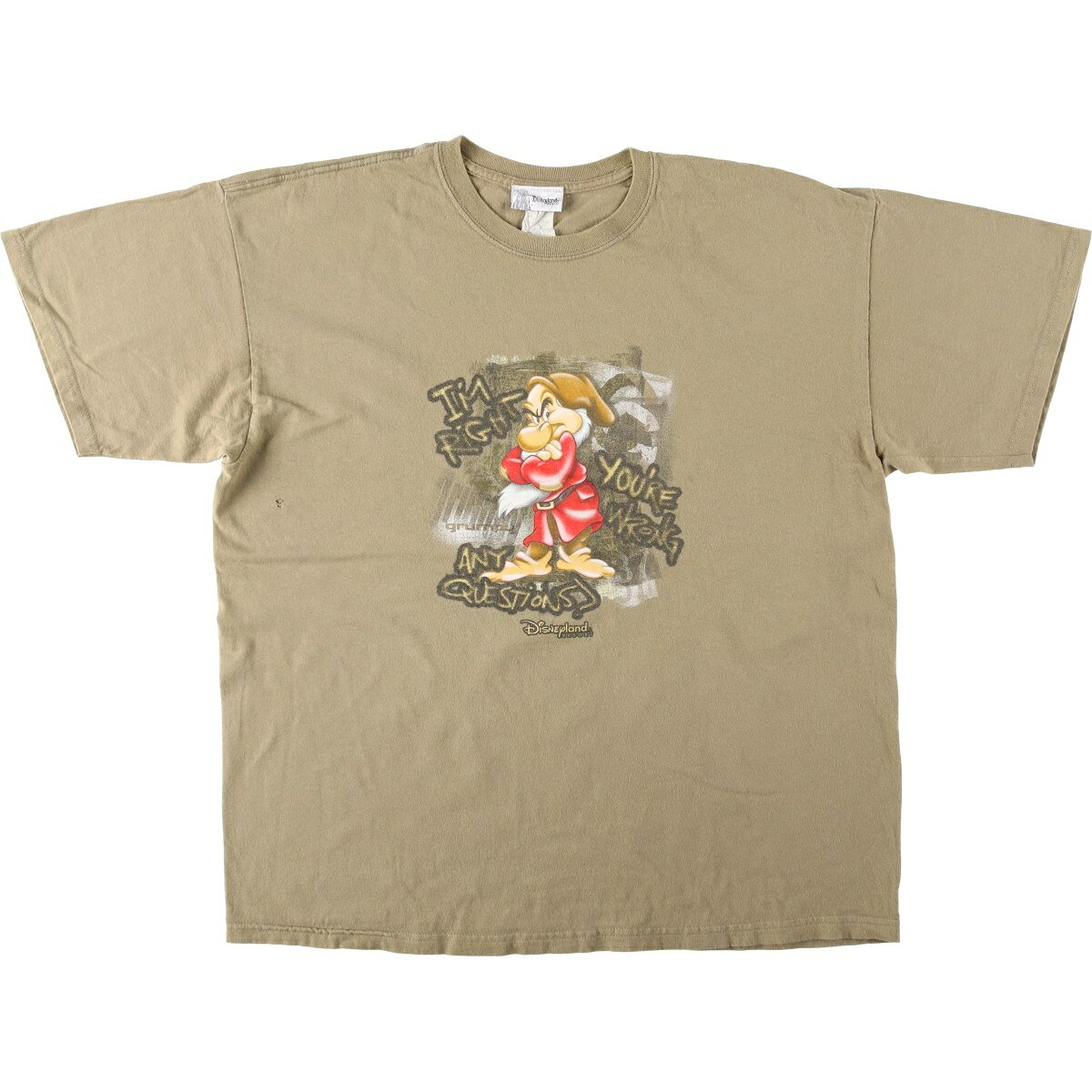 古着 Disney land 白雪姫 七人の小人 おこりんぼ Grumpy アニメ キャラクタープリントTシャツ メンズXL相当 /eaa656916  