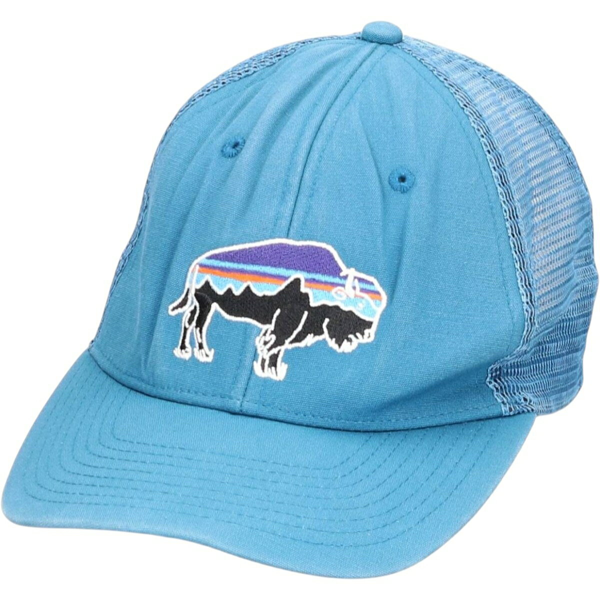 樂天商城 - 古着 パタゴニア Patagonia STY38049SP16 メッシュキャップ フリーサイズ相当 /gaa006796 【中古】 【260312】 ブルー系 春夏秋冬