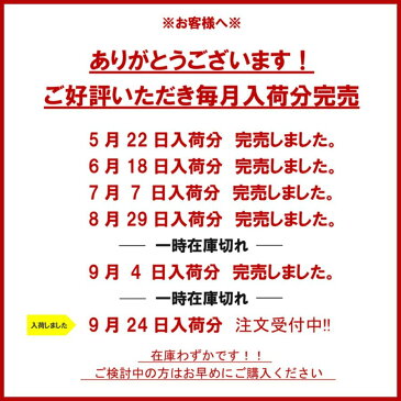 [ 圧倒的な高評価レビュー4.4点！ ] [送料無料]スポーツウェア レディース 上下 セット トレーニングウェア ランニングウェア 大きいサイズ ショートパンツ付き レギンス フィットネスウェア ヨガウェア ジムウェア 半袖 トップス Tシャツ 安い 黒 S M L XL ダイエット