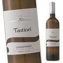 イタリアワインセット