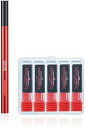 DSPIAE CS-PB01 超硬押彫タガネ グリップセット(0.1/0.15/0.3/0.5/1.0mm )【沖縄県へ発送不可です】(3)