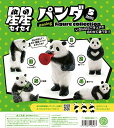 星星パンダポージングフィギュアコレクション(BOX) 12個入【沖縄県へ発送不可です】
