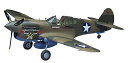 ハセガワ 1/32 アメリカ陸軍 P-40E ウォーホーク プラモデル ST29【沖縄県へ発送不可です】