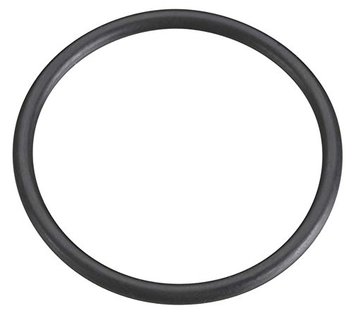 O-リング (S-25) サイレンサーG F-5040 44925310【配送日時指定不可】