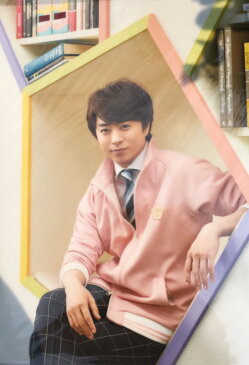 【新品】 嵐　＆　Sexy Zone・【クリフアァイル】　・ ・櫻井翔・・嵐のワクワク学校　2017〜毎日がもっと輝くみんなの保健体育〜最新会場販売グッズ