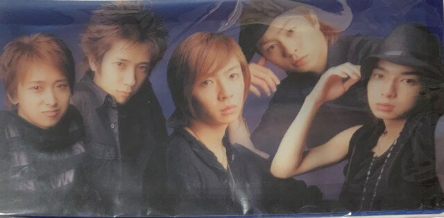 【中古】 嵐 ARASHI 【チケットケース】 集合 ファイル コンサート会場販売グッズ チケットファイル