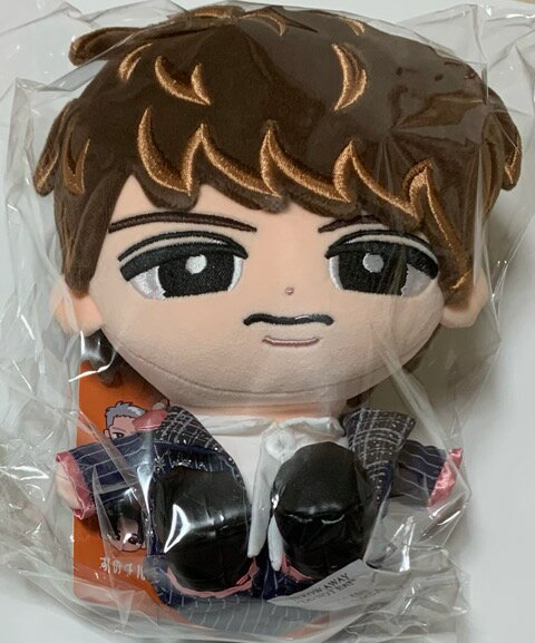 【新品】　2025 SnowMan スノーマン　【Bigぬいぐるみ】向井康二　すのチルぶら下がらないシリーズ 　Snow Man 1st Stadium Live Snow World 国立　コンサート会場販売グッズ　ぬいぐるみ