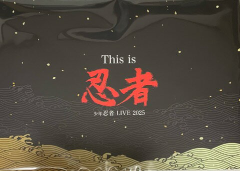 【新品】 2025 少年忍者 【コレクションカード】 少年忍者 LIVE 2025 This is 忍者 コンサート会場販売グッズ カード