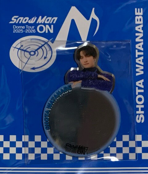 楽天市場】snowman グッズ 公式2025（コレクション｜ホビー）の通販